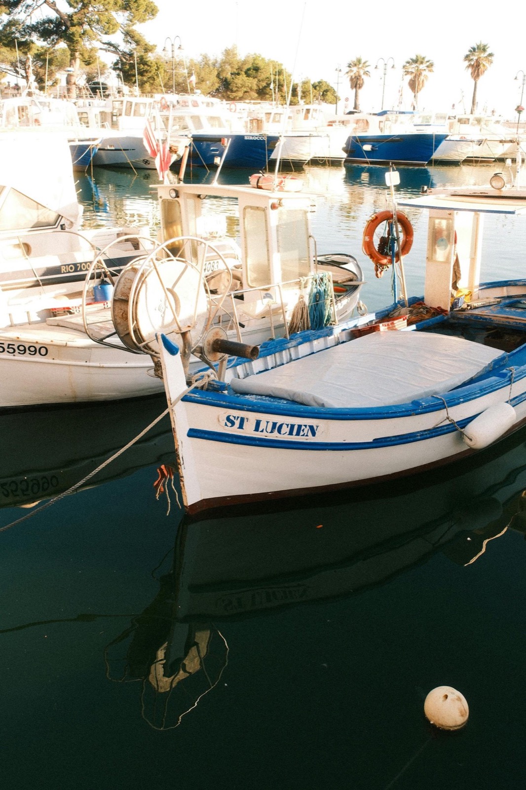 Pointu traditionnel blanc et bleu amarré dans le port, palmiers en arrière-plan
