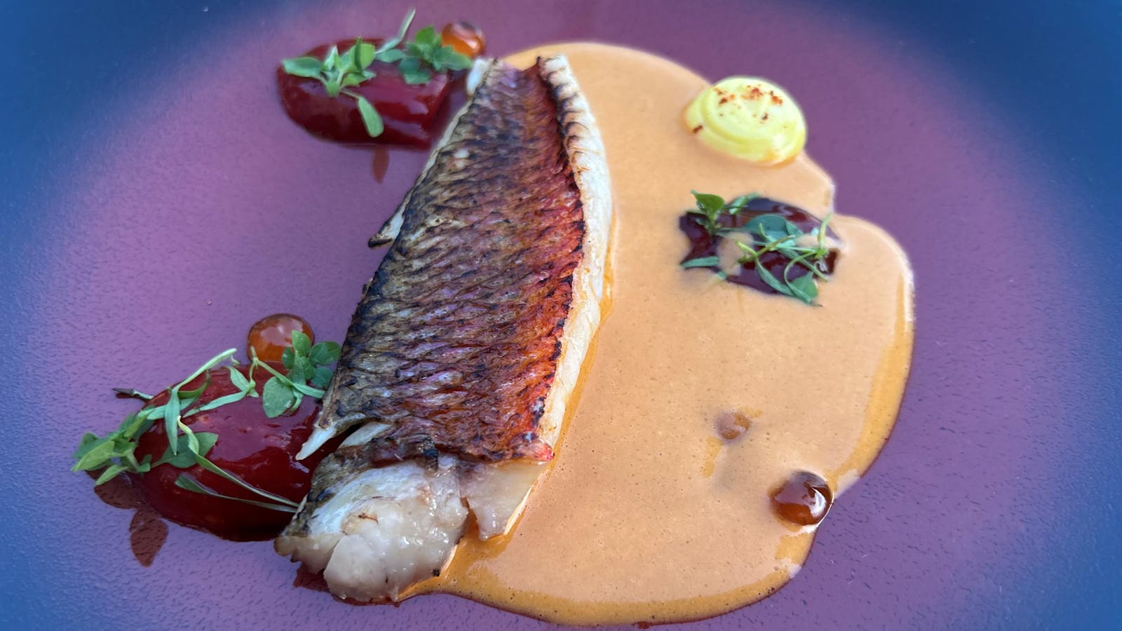 Filet de rouget aux girolles dans une sauce safranée, dressé sur assiette
