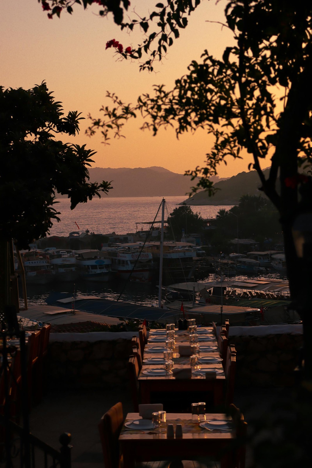 Terrasse au coucher du soleil avec tables dressées face au port